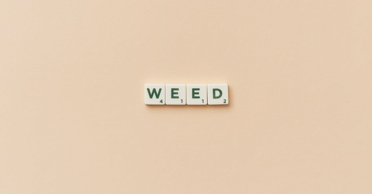 Measuring Vector Similarity in Word Embedding Spaces