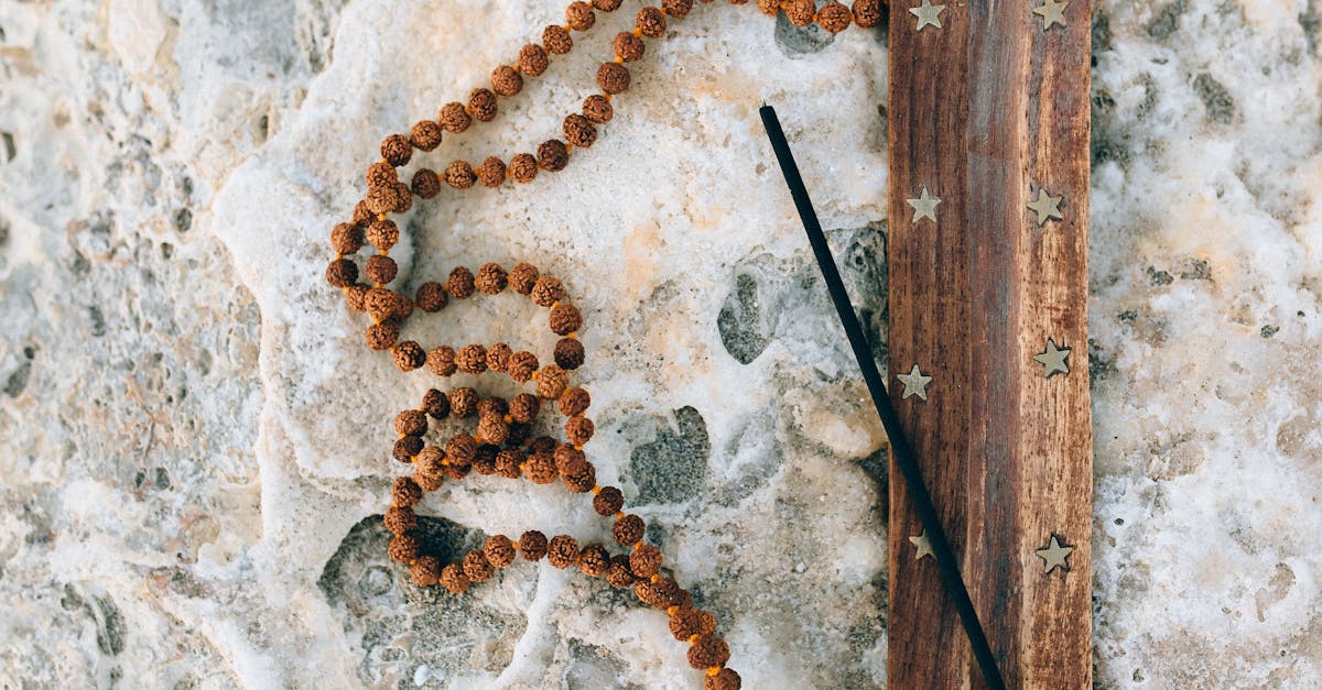 The Existential Limit of Biological Intelligence